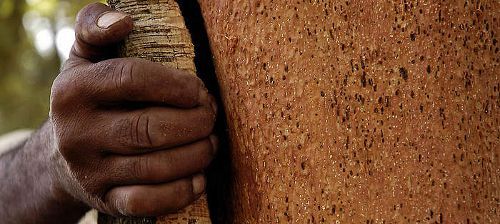 Заготовка пробки