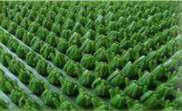 Щетинистое покрытие Альфа-Стиль стандарт 164 Моховый, 1 м.п.