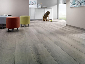 Ламинат Homflor Strong HS-437 Durban 12 мм 33 класс c фаской, 1 м.кв.