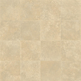 Линолеум бытовой Tarkett Evolution Nika 2