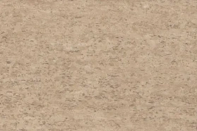 Линолеум коммерческий Tarkett Traventine Pro Beige 01