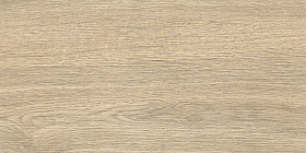   Alma Ceramica  Керамогранит   Брентвуд / Brentwood  GFA3060BWD24R  300 x 600 x 7