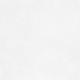 Малярный флизелин Practic Maler Vlies 7110-25