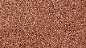 Ковролин AW Sensuality Secret 85, 1 м.кв.