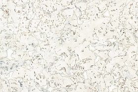 Настенная клеевая пробка Granorte Decodalle Country Ivory, 1 м.кв.