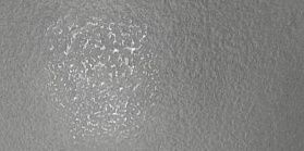 Керамогранит Керамика Будущего Декор графит лаппатированный 1200х600, 1 кв.м.