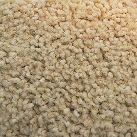 Ковролин Ideal Malibu 303, 1 м.кв.