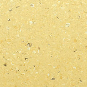 Линолеум Apoluza TANGYUN 1008