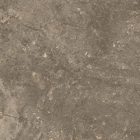 Керамогранит Coliseumgres Червиния Земля 45х45 коричневый, 1кв. м.