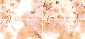 Панно Cersanit Cherry многоцветное (CW2H454D) 40x88